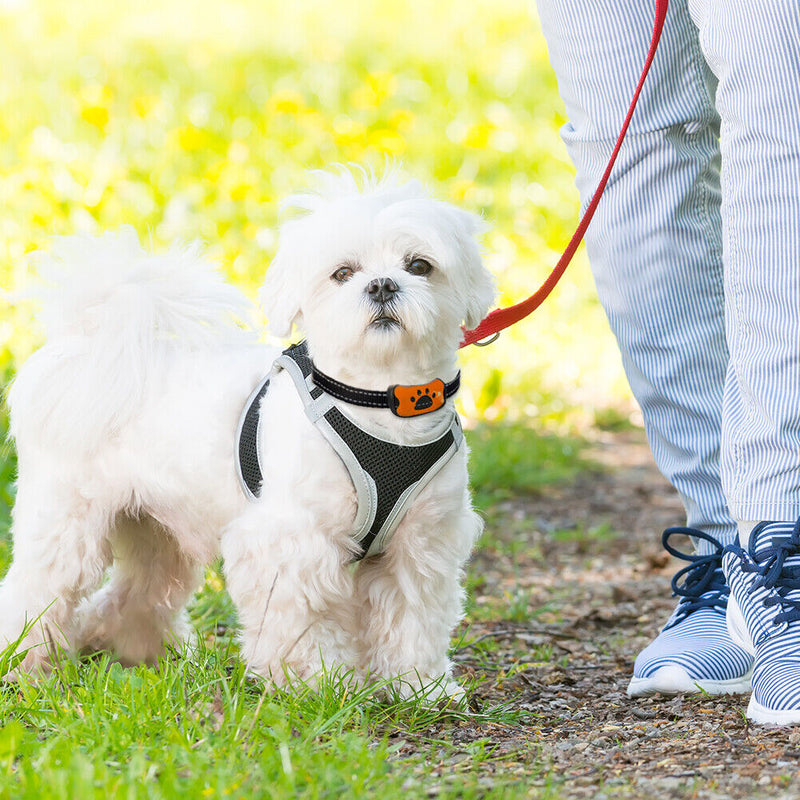 USB Pet Anti Barking Device Adjustable Ultrasonic Dogs Training Barkproof Col