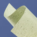 Face Oil Absorbent Sheets Flexible Anti-tear Face Blotting Paper (Black) Newly