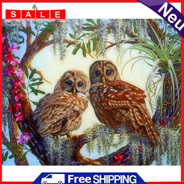 DIY Digital Picture Kit Owls Frameless Oil Painting By Number Handicraft Gifts