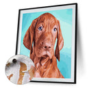 DIY Coded Acrylic Drawing Home Decor Dog Animal Pattern Oil Paint by Numbers