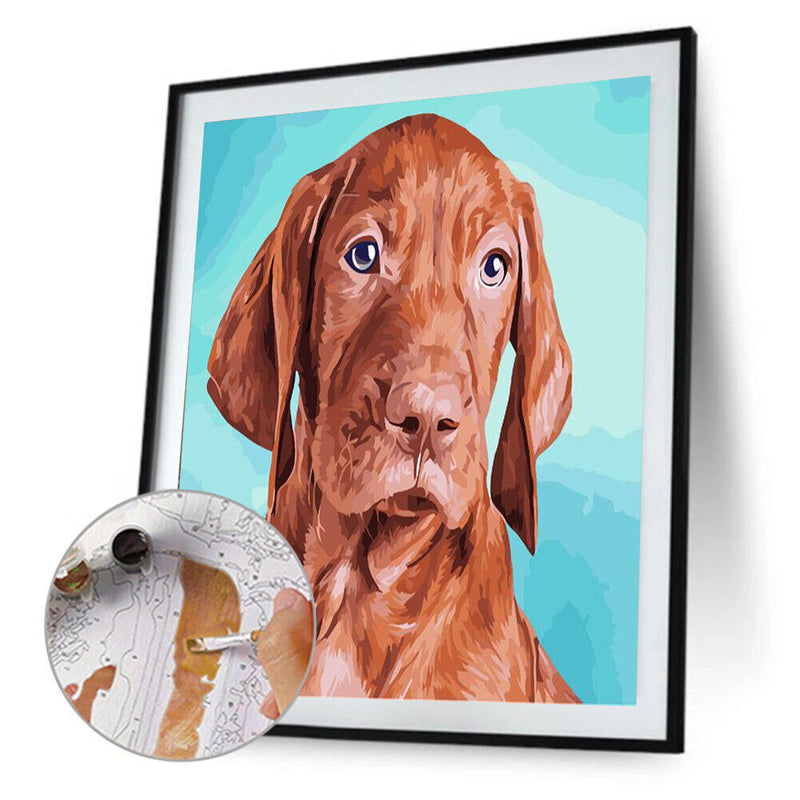 DIY Coded Acrylic Drawing Home Decor Dog Animal Pattern Oil Paint by Numbers