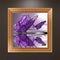 5D Butterfly Diamond Embroidery Painting Cross Stitch DIY Home Decor Newly