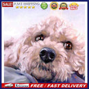 Oil Paint By Numbers Pet Dog on Canvas Digital Painting DIY Wall Art Handic
