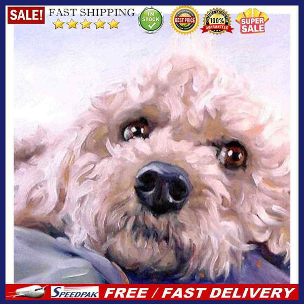 Oil Paint By Numbers Pet Dog on Canvas Digital Painting DIY Wall Art Handic