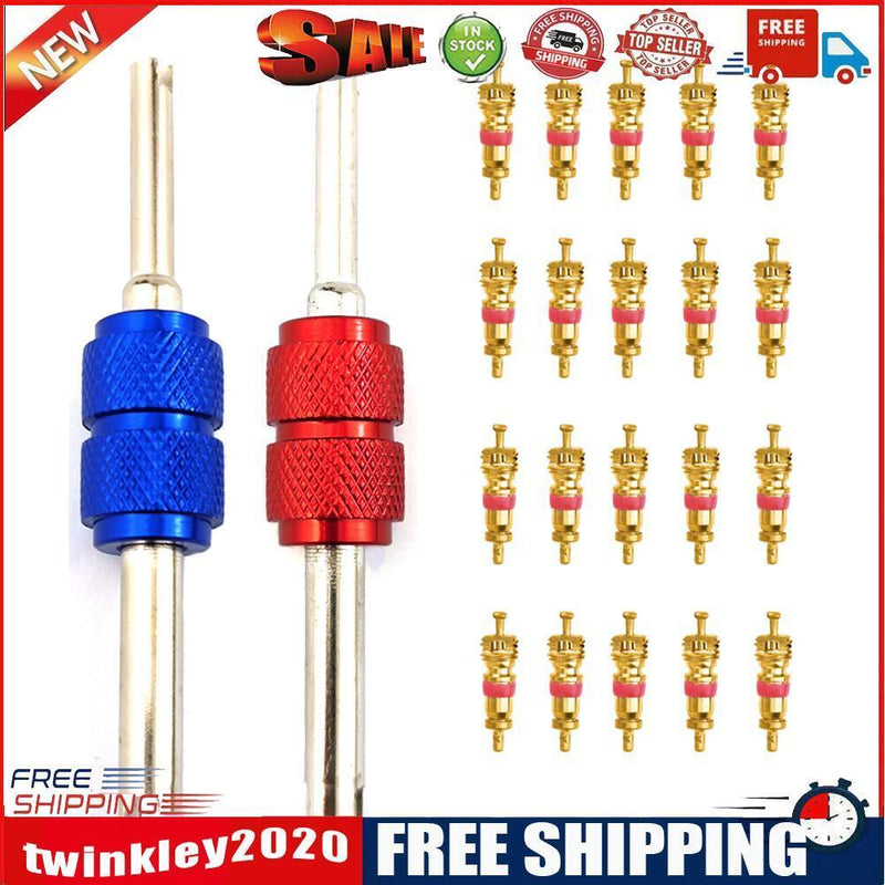 20pcs Copper Tyre Valve Core with 2 Motorcycle Valve Tools for Car Bike