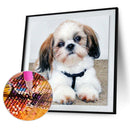 5D DIY Diamond Painting Cute Puppy Full Drill Rhinestone Mosaic Art Picture