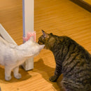 Cat Corner Scratching Rubbing Brush Massage Comb Scratcher Pet Toys (Pink) Newly