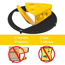 Flip N Slide Bucket Lid Mouse Trap Auto Reset for Indoor Outdoor (2 Ramp)