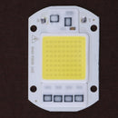 High Power 50W AC 220V COB LED Lamp Chip for Spotlight Searchlight(White) Newly