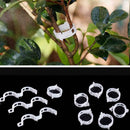 Plant Vine Fixing Clamp Hanging ling Clamp Gardening Plant Frame D8R1 L1E4
