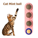 #A Funny Catnip Ball Set Cat Supplies Bite Resistance for Cats Over Six Months O