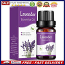 10ml Essential Oils Air Humidifier Aroma Diffuser Aromatherapy Water-soluble Oil