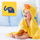 Educational Visual Training Card Color Stimulation Flashcard (Develop 1)