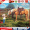 Frameless Oil Paint By Numbers Feeding Horse Girl DIY Canvas Picture Kit