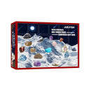 Christmas Advent Calendar Gift Mineral Boxs Fossil Stone Set Early Education