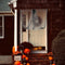 Dress Party Decor Home Decorate Creepy Cloth Halloween Decoration Gauze Net