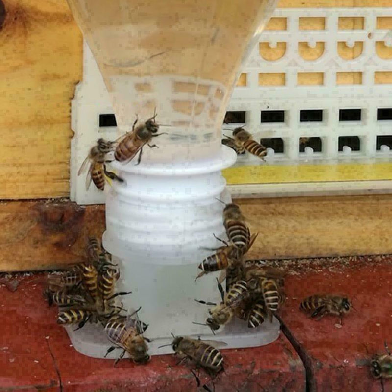 Plastic Bee Feeder Water Drinking Fountain Jar Beekeeper Beekeeping I8F2 M6T5