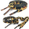 Classic Leopard Print Shoelaces Fashion Flat Laces apply to all of shoesRe U8U7