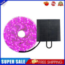5m Solar Panel Full Spectrum Phyto Lamp 2835 SMD LED Plant Grow Light Strip