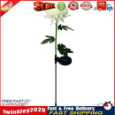Solar Power Chrysanthemum Ground Light Flower Outdoor Garden Decor (White) Newly