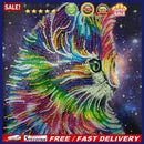 5D DIY Special Shaped Diamond Paint Multi Cat Cross Stitch Embroidery Kit