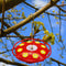 Plastic Portable Bird Hummingbird Flower Feeder Bottle with Hook Hanging Dr