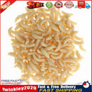 200Pcs Soft Plastic Fishing Lures Baits Maggots Worms Tackle light yellow Newly