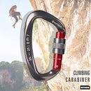 25KN D Shape Safety Lock Carabiner Outdoor Rock Climbing Buckle (Gun Grey) Newly