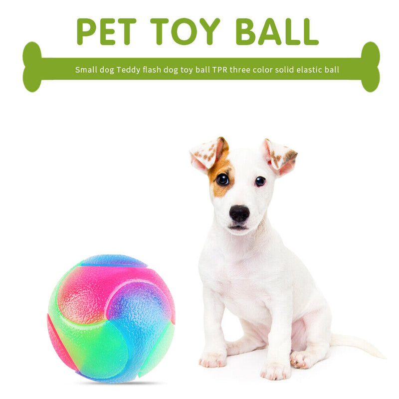 Flashing Elastic Teddy Dog Rubber Ball Pet Color Durable Interact Light up