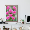 Pink Purple Rose Diamond Painting Kits, Full Square Drill, Wa