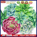 5D DIY Full Round Drill Diamond Painting Succulent Plant Cross Stitch Embro