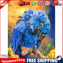 Macaw Oil Painting By Numbers Canvas Art Drawing Kit DIY Home Bedroom Decor