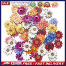 50pcs Chrysanthemums Wooden Buttons DIY Sewing Craft Scrapbooking Clothes D