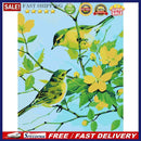 DIY Digital Oil Painting By Numbers Birds on Branch Canvas Acrylic Picture