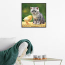 5D DIY Full Drill Diamond Painting Chicken Cat Cross Stitch Embroidery Kits
