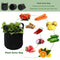 Potato Felt Planter Grow Bag Vegetable Tomato Garden Plant Pot (7 Gallon)