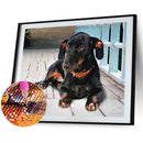 5D Animal Full Round Drill Diamond Painting DIY Mosaic Rhinestone Picture Dec