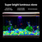 Glow in The Dark Rocks - 100pcs Glowing Pebble Powered by Sunlight for Fish Tank