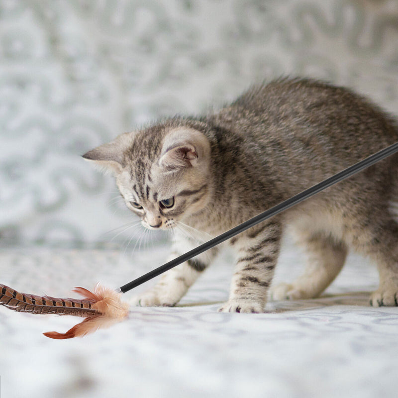 Cat Wand Toys - Durable Pole with High Strength & Toughness Ideal Toys for Pets
