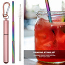 Outdoor Reusable Collapsible Drinking Straw Suit with Cleaning Brush (D) Newly