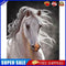 #A Fine Horse Oil Paint By Numbers Kit DIY Frameless Drawing Picture for Adults