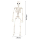 Poseable Human Skeleton Prop Halloween Party Decoration Plastic Durable C9C0