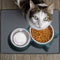 #A 2 in 1 Drinker for Cats Food Storage Drinking Dish Feeder Pet Supplies Anti S