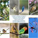 Hanging Wild Bird Seed Feeder Plastic Hummingbird Food Dispenser Automatic