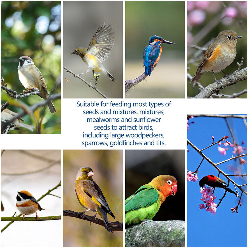 Hanging Wild Bird Seed Feeder Plastic Hummingbird Food Dispenser Automatic