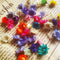 Small Star Dried Flower Head Daizy DIY Nail Art Filling Decor Hand Craft M9K0