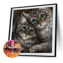 5D DIY Full Drill Diamond Painting Cat Embroidery Mosaic Kit Decor (WX066)