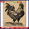 Oil Paint By Numbers Rooster Frameless Picture Craft Kit for Home Living Room