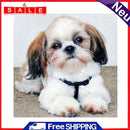 5D DIY Diamond Painting Cute Puppy Full Drill Rhinestone Mosaic Art Picture