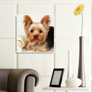 5D DIYDog Full Square Drill Mosaic Diamond Painting Animal Picture Rhinestone